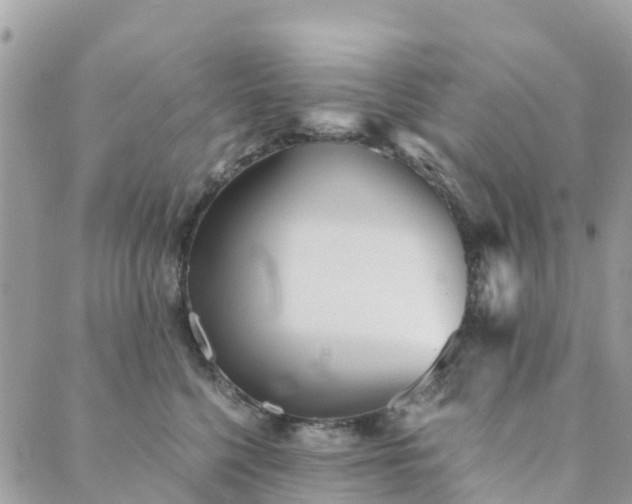 X0000089930568200706291200