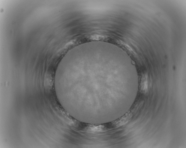 X0000089930569200706291200