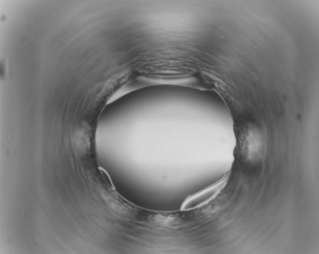 X0000089930570200706291200