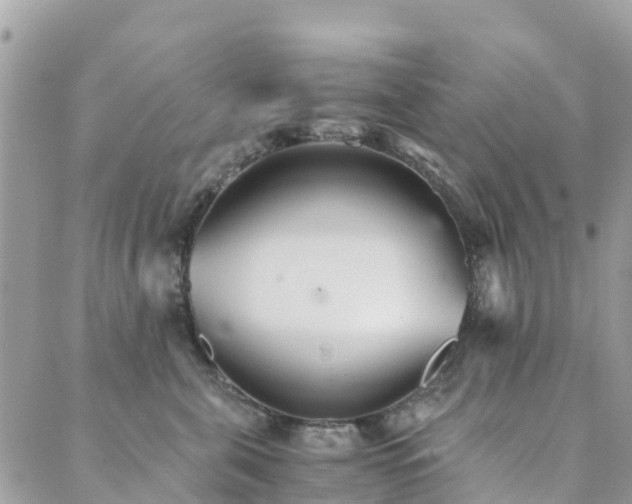 X0000089930571200706291200