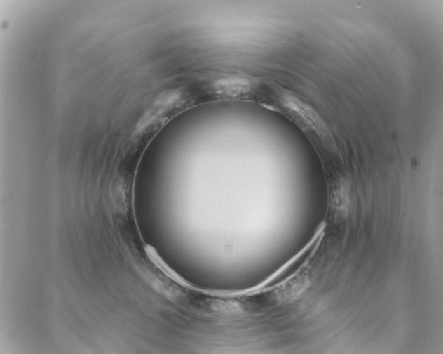 X0000089930572200706291200