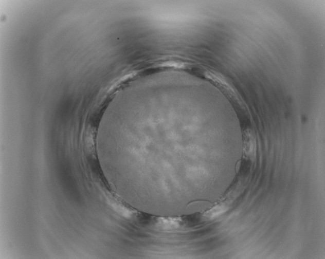 X0000089930573200706291200