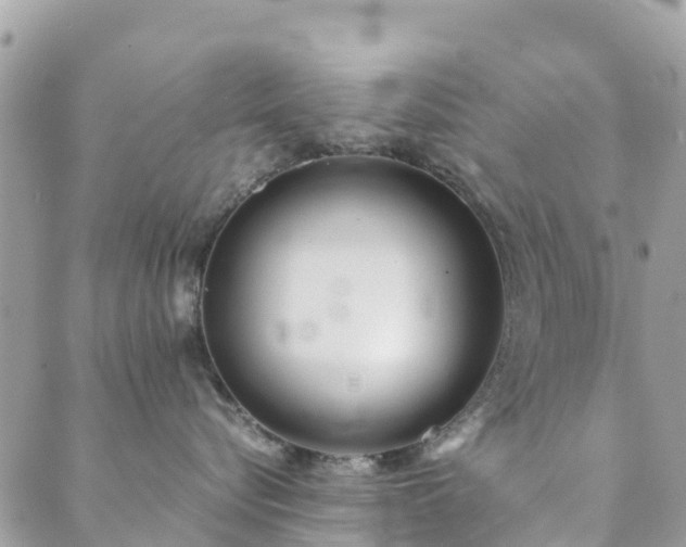 X0000089930576200706291201