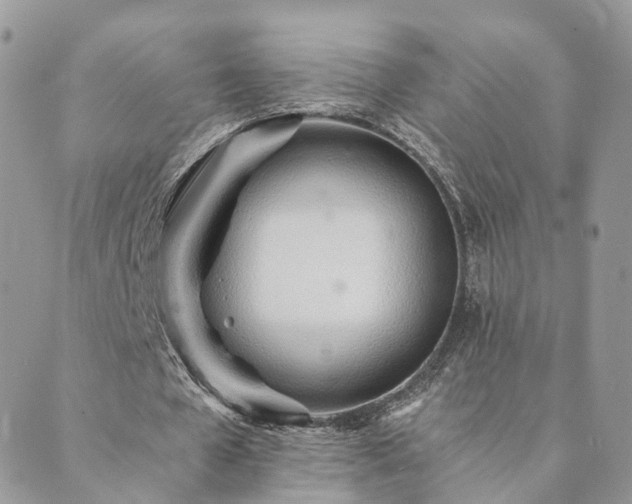 X0000089930577200706291200