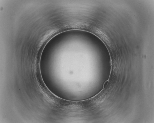 X0000089930578200706291200