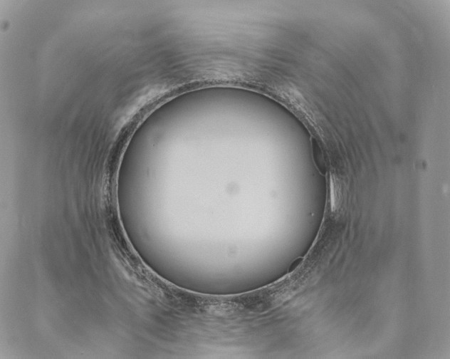 X0000089930579200706291200