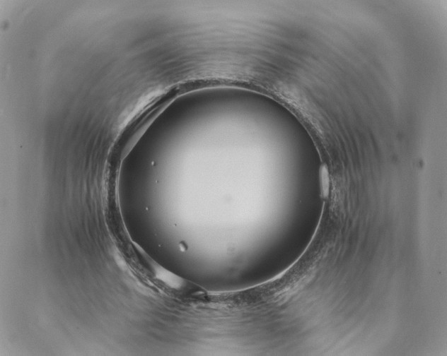 X0000089930580200706291200