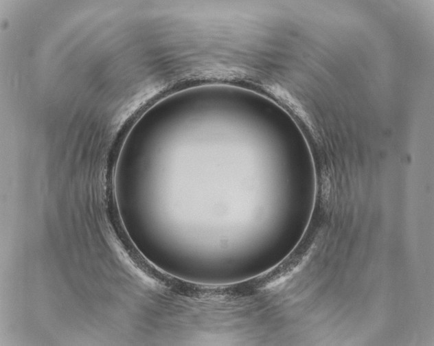 X0000089930581200706291200