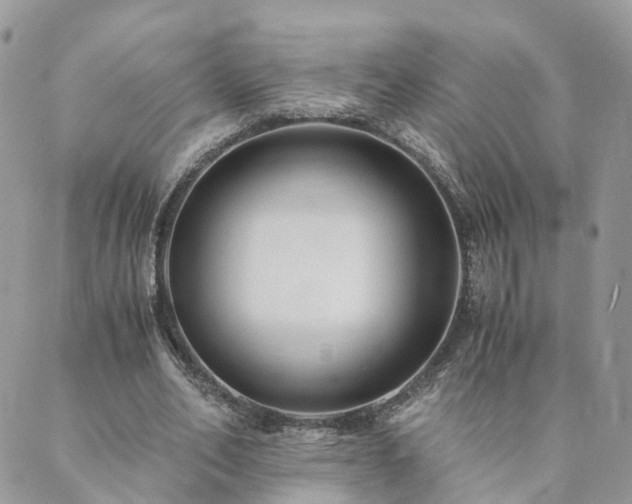 X0000089930582200706291200