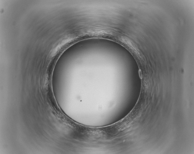 X0000089930583200706291200