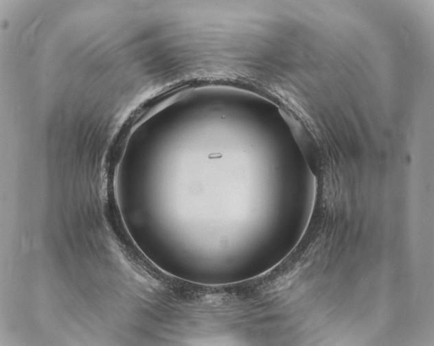 X0000089930584200706291200