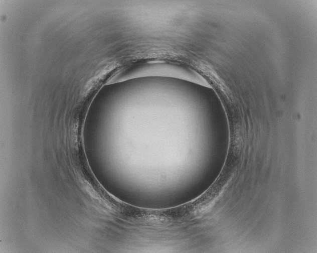 X0000089930585200706291200