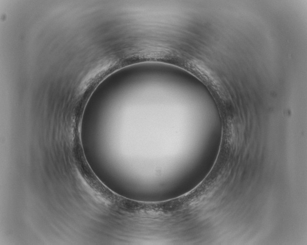 X0000089930586200706291200