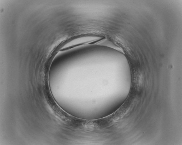 X0000089930587200706291200