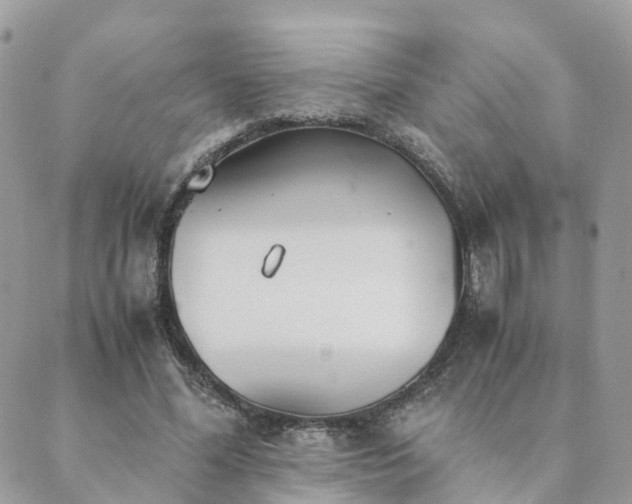 X0000089930588200706291200