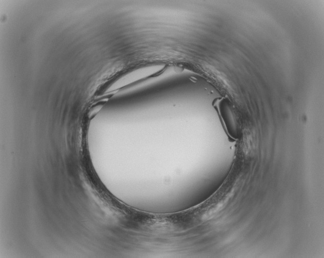 X0000089930589200706291200