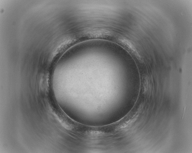 X0000089930590200706291200