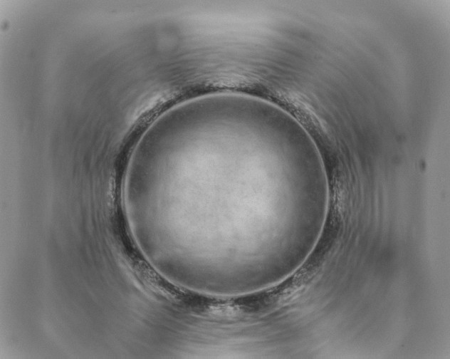 X0000089930591200706291200