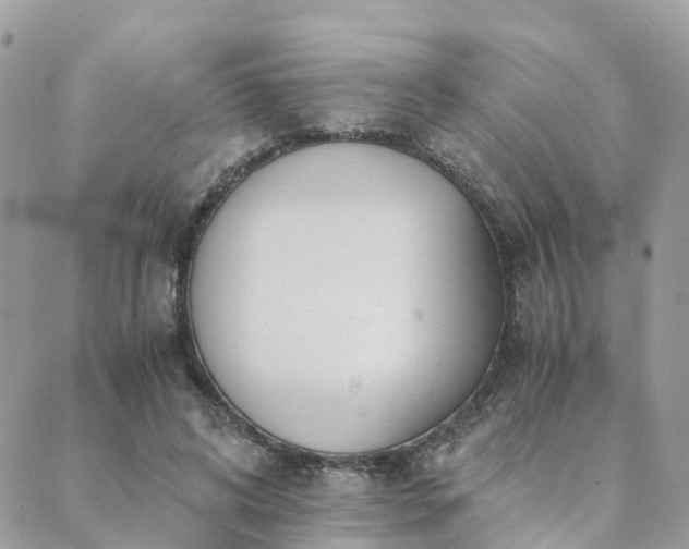 X0000089930592200706291200