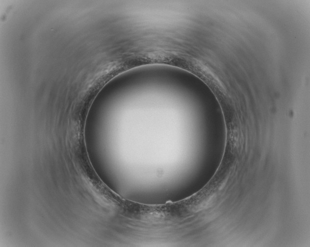 X0000089930593200706291200