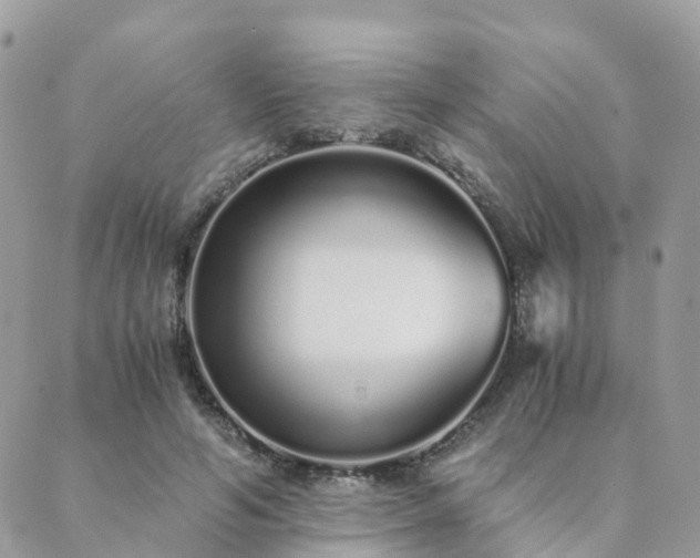 X0000089930594200706291159