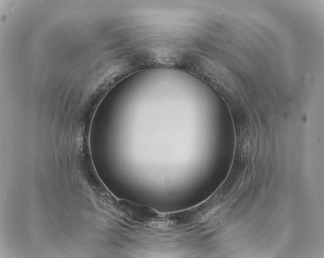 X0000089930595200706291159