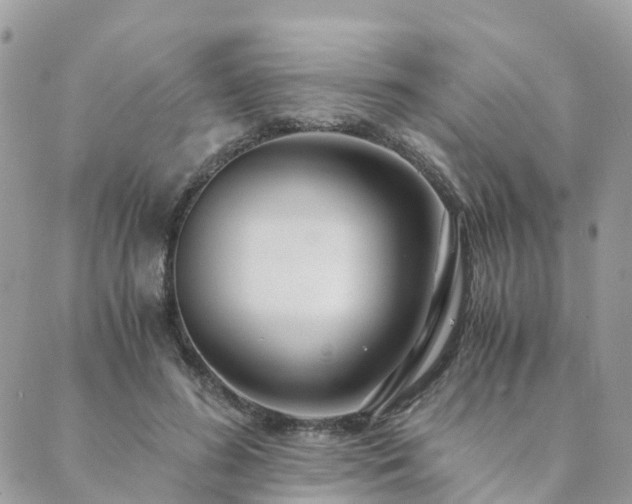 X0000089930596200706291159