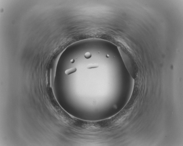 X0000089930597200706291159