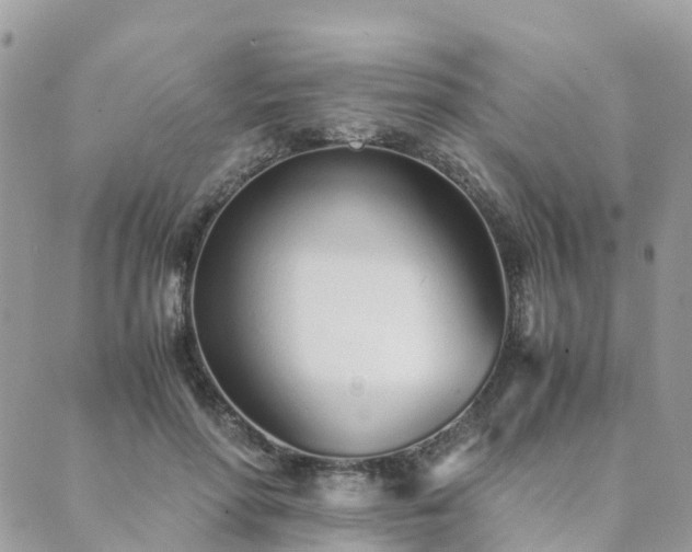 X0000089930598200706291159