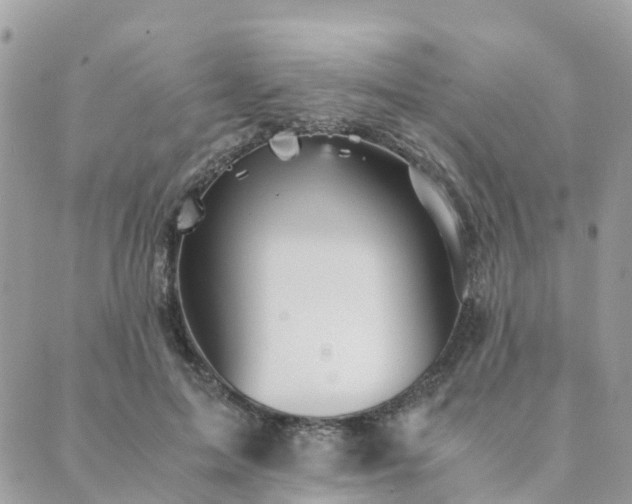 X0000089930599200706291159