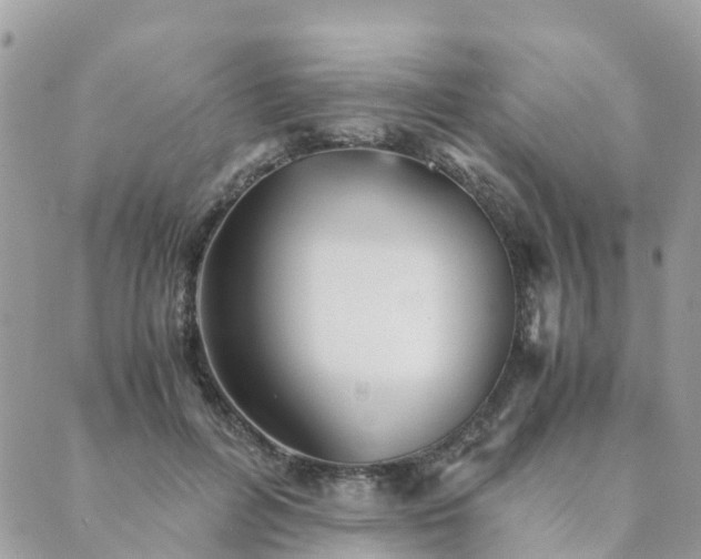 X0000089930600200706291159