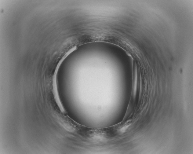 X0000089930601200706291159