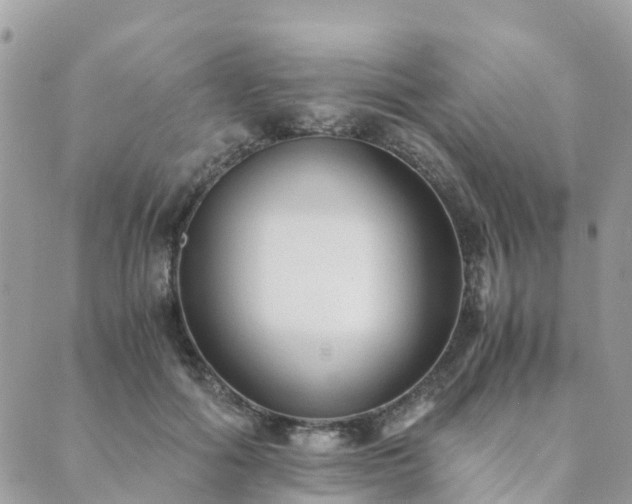 X0000089930602200706291159