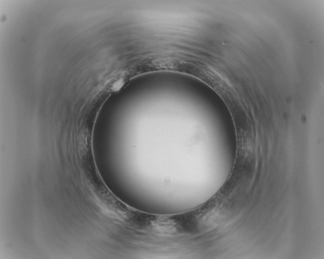 X0000089930603200706291159