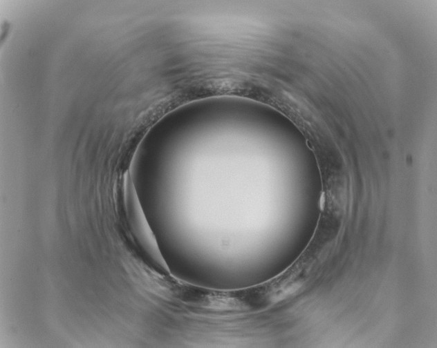 X0000089930605200706291159