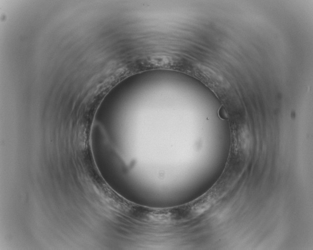 X0000089930606200706291159