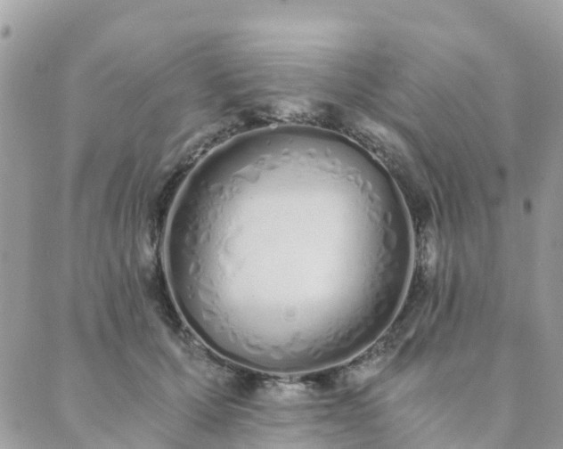 X0000089930607200706291159