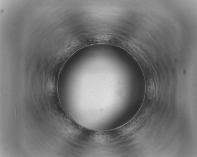 X0000089930608200706291159