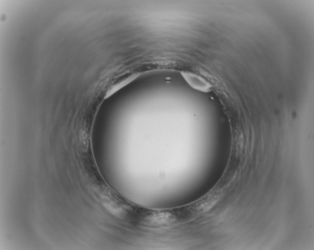 X0000089930609200706291159