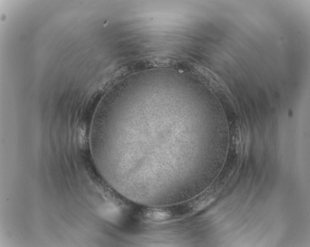 X0000089930610200706291159