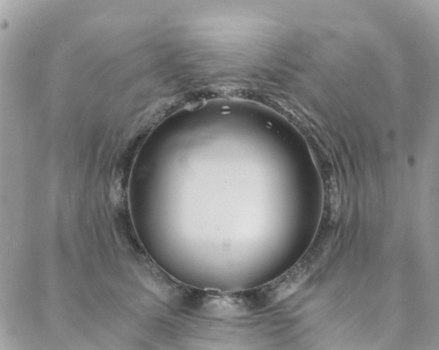 X0000089930611200706291159