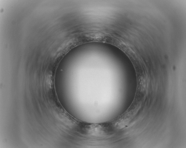 X0000089930612200706291159