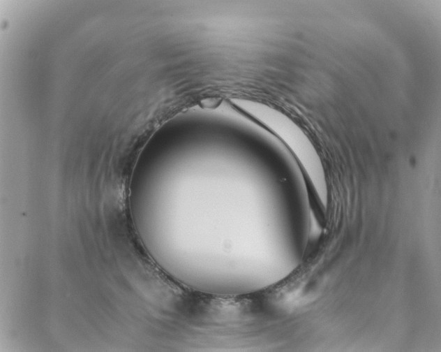 X0000089930613200706291159