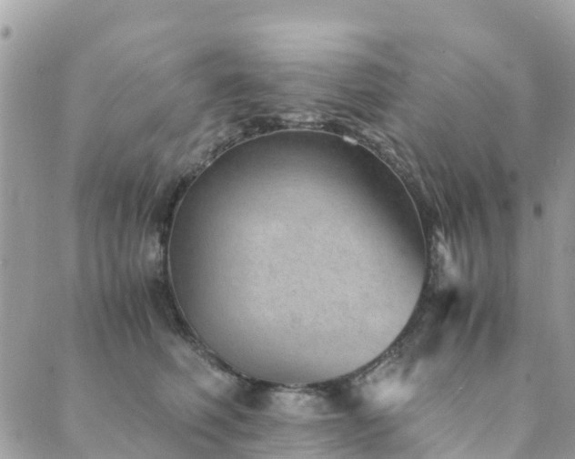 X0000089930614200706291159