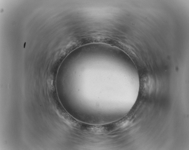 X0000089930615200706291159