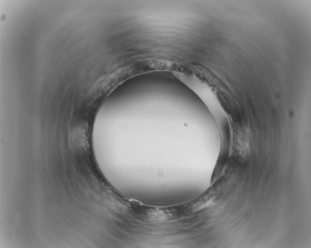 X0000089930616200706291159