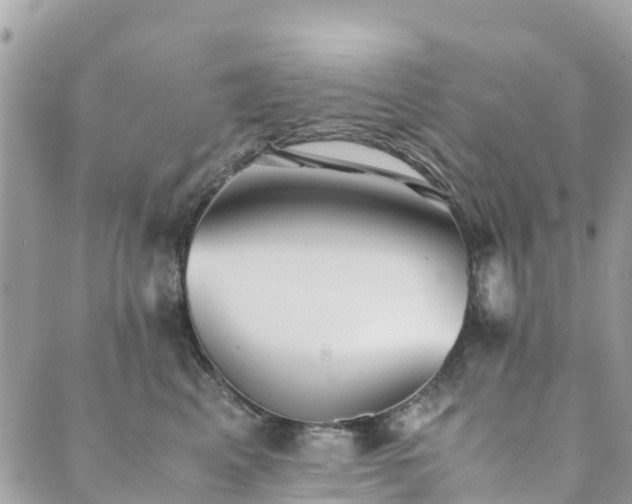 X0000089930617200706291159