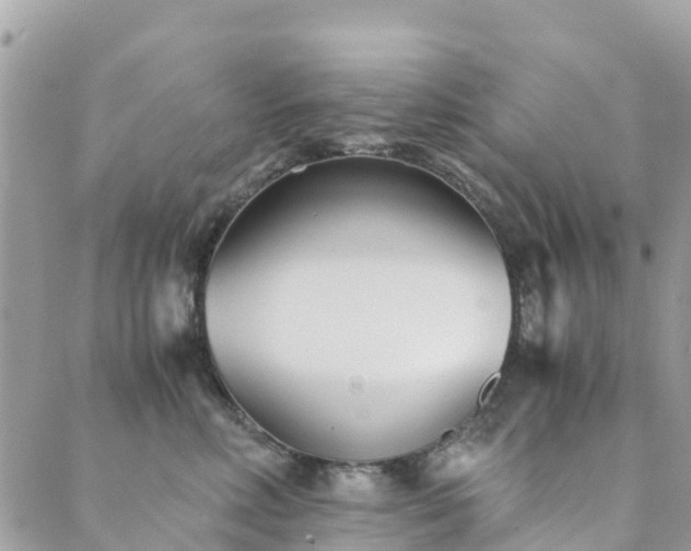 X0000089930618200706291159