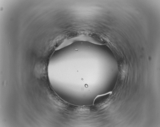 X0000089930619200706291159