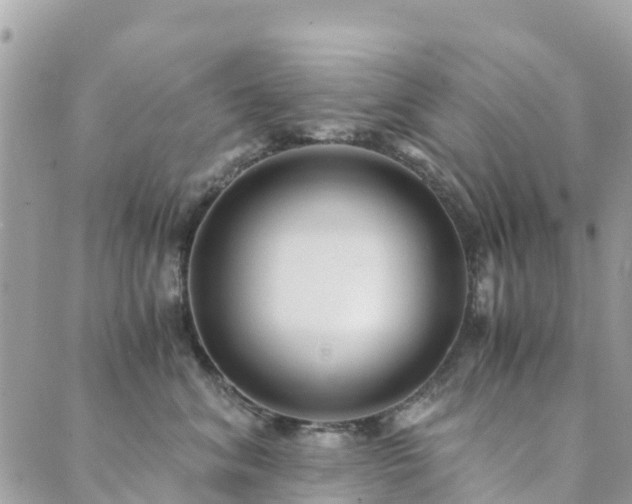 X0000089930620200706291159